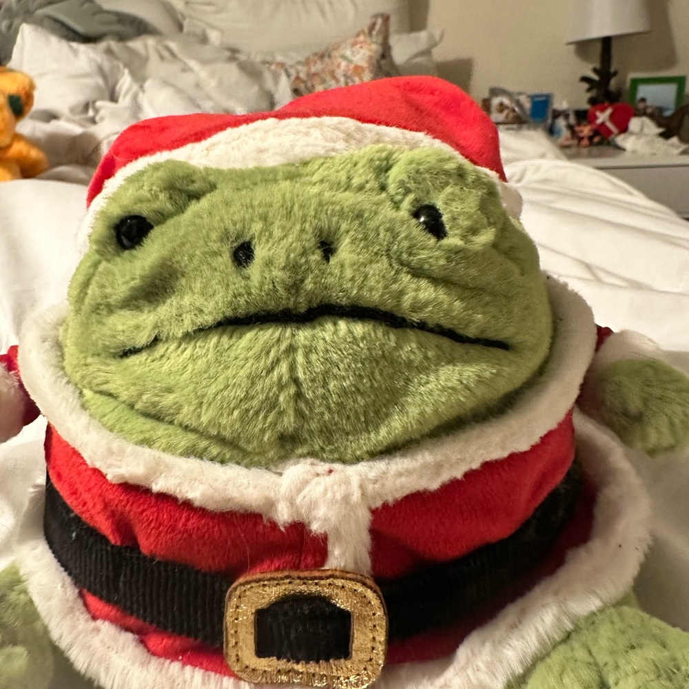 NWT jellycat christmas santa ricky rain frog plush stuffed animal - Picture 2 of 8